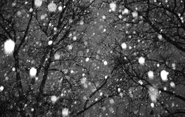 013010snowfall